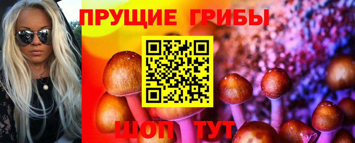 Псилоцибиновые грибы мухоморы Дубна